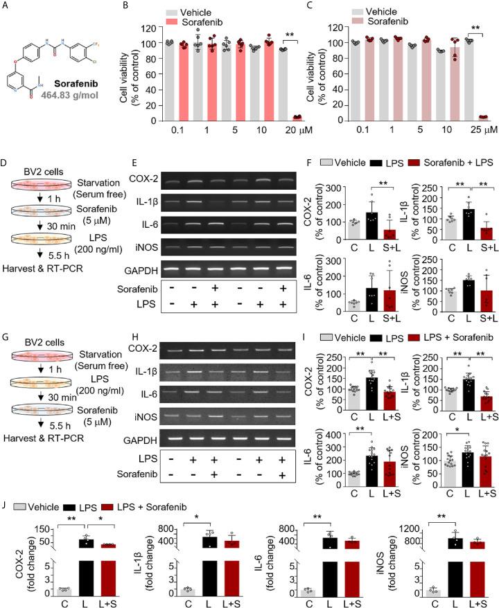 https://cdn.ncbi.nlm.nih.gov/pmc/blobs/3577/8190398/e3334c06b185/fimmu-12-684344-g001.jpg
