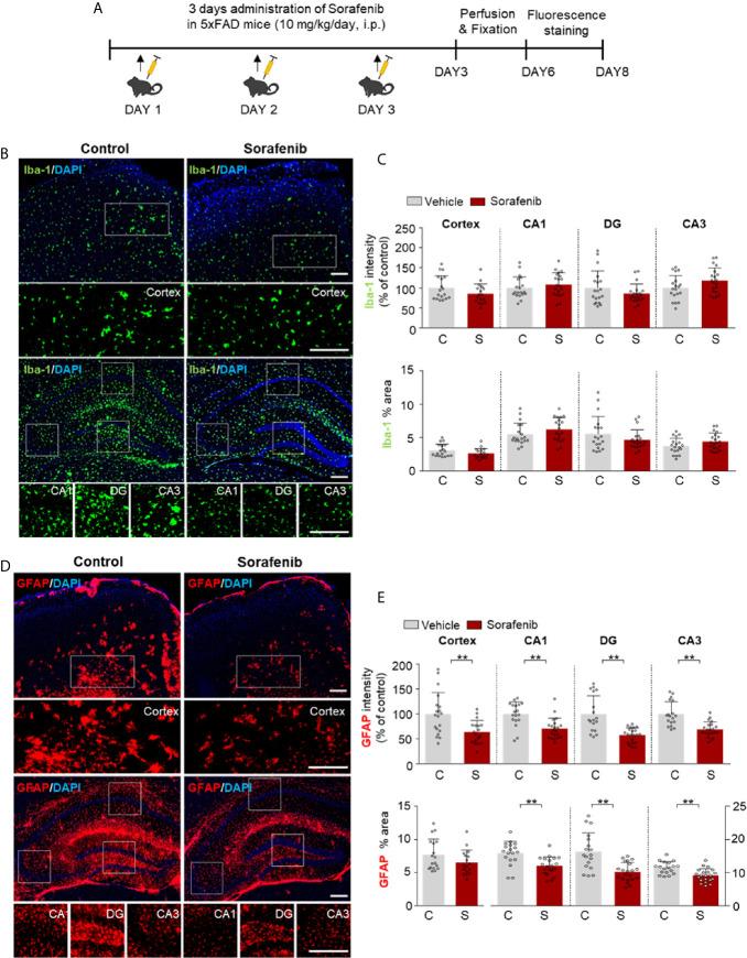 https://cdn.ncbi.nlm.nih.gov/pmc/blobs/3577/8190398/fa6cac579cfa/fimmu-12-684344-g008.jpg