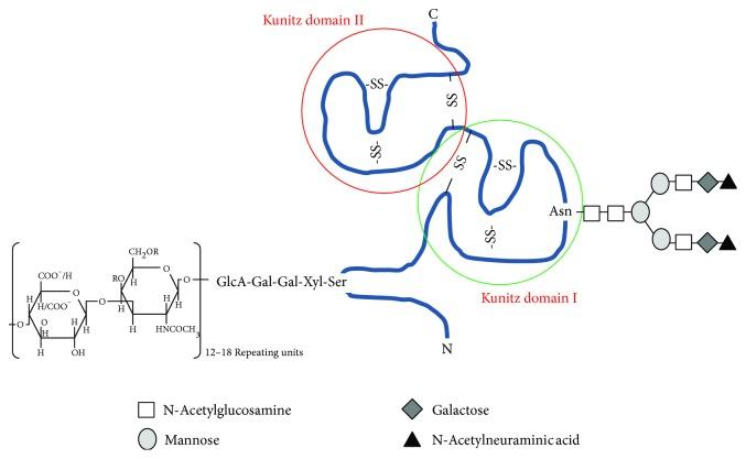 https://cdn.ncbi.nlm.nih.gov/pmc/blobs/3578/5818928/e47948de3536/JDR2018-9378515.001.jpg