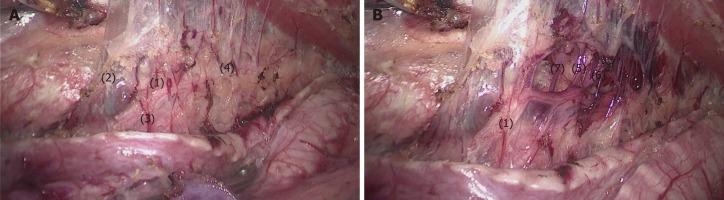 https://cdn.ncbi.nlm.nih.gov/pmc/blobs/3578/7109273/5d0130399291/WJG-26-1340-g007.jpg