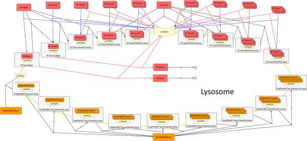 https://cdn.ncbi.nlm.nih.gov/pmc/blobs/3579/4062111/5583d29273de/1752-0509-8-54-3.jpg
