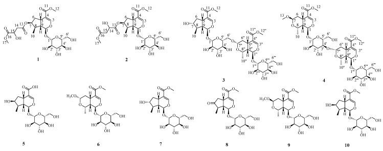 https://cdn.ncbi.nlm.nih.gov/pmc/blobs/357b/9331380/dccd12e3cd8e/molecules-27-04732-g001.jpg