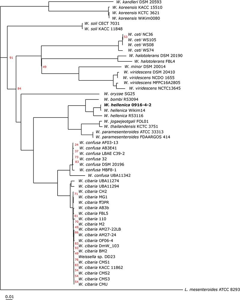 https://cdn.ncbi.nlm.nih.gov/pmc/blobs/357c/6667553/ac4407403ca1/fmicb-10-01619-g003.jpg