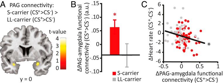 https://cdn.ncbi.nlm.nih.gov/pmc/blobs/357c/6925990/26df3a5f055c/pnas.1904843116fig02.jpg