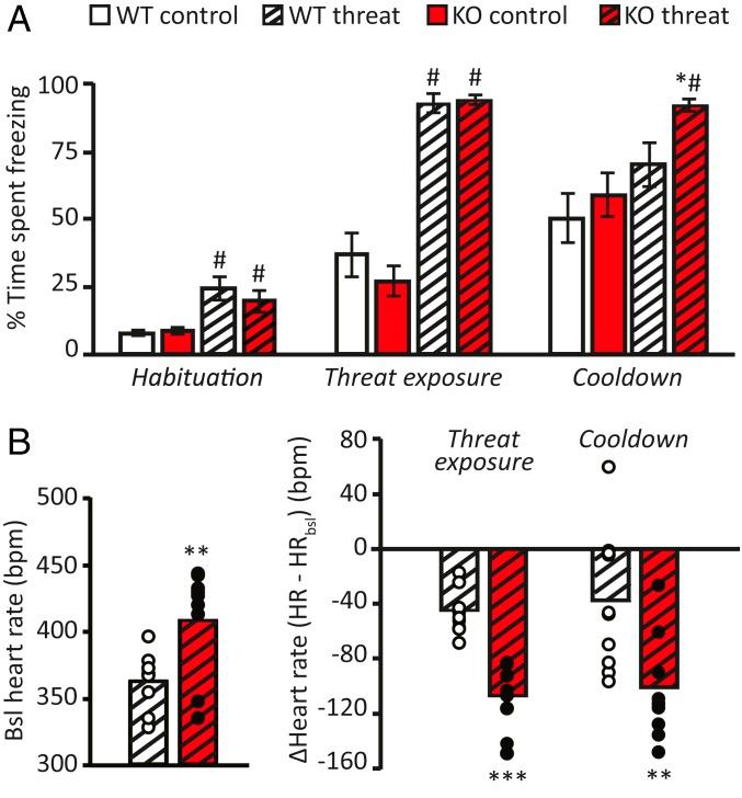 https://cdn.ncbi.nlm.nih.gov/pmc/blobs/357c/6925990/57f1286c188e/pnas.1904843116fig03.jpg