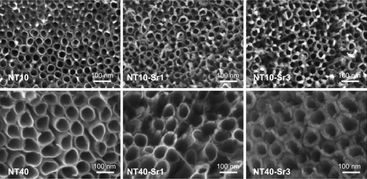 https://cdn.ncbi.nlm.nih.gov/pmc/blobs/357d/4798202/4e1eedc83fcb/ijn-11-1003Fig1.jpg