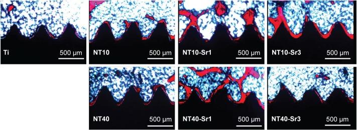 https://cdn.ncbi.nlm.nih.gov/pmc/blobs/357d/4798202/58cc15f8fe17/ijn-11-1003Fig7.jpg
