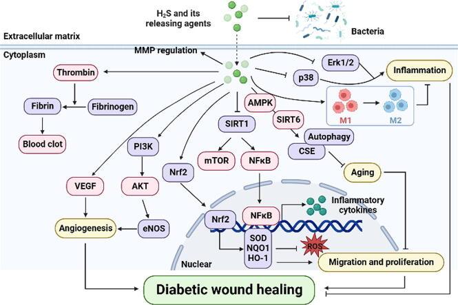 https://cdn.ncbi.nlm.nih.gov/pmc/blobs/357e/10982866/0d569a840860/ga1.jpg
