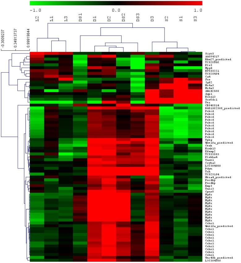 https://cdn.ncbi.nlm.nih.gov/pmc/blobs/357e/3617149/507d6e40b812/pone.0060447.g003.jpg