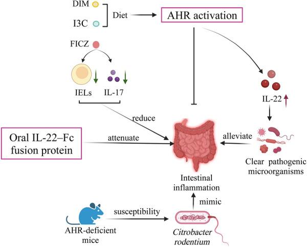 https://cdn.ncbi.nlm.nih.gov/pmc/blobs/357f/10182712/272c339ed8de/13578_2023_1046_Fig3_HTML.jpg
