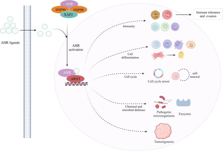 https://cdn.ncbi.nlm.nih.gov/pmc/blobs/357f/10182712/960b177c4c76/13578_2023_1046_Fig1_HTML.jpg