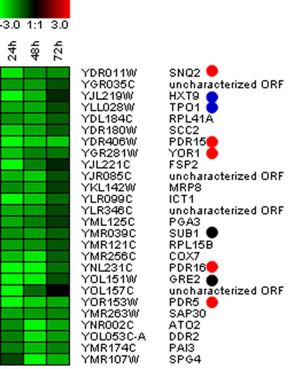 https://cdn.ncbi.nlm.nih.gov/pmc/blobs/357f/2588579/ff1a812def37/1472-6750-8-83-5.jpg