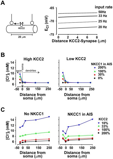 https://cdn.ncbi.nlm.nih.gov/pmc/blobs/3580/3169517/2df05a335f58/pcbi.1002149.g006.jpg