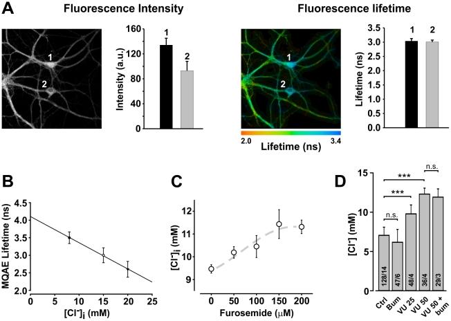 https://cdn.ncbi.nlm.nih.gov/pmc/blobs/3580/3169517/4a7529605290/pcbi.1002149.g002.jpg