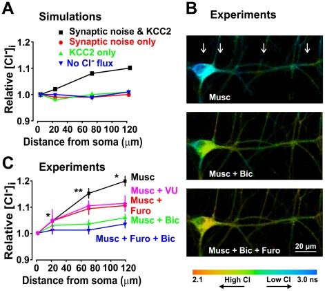 https://cdn.ncbi.nlm.nih.gov/pmc/blobs/3580/3169517/b14b52bcf168/pcbi.1002149.g004.jpg