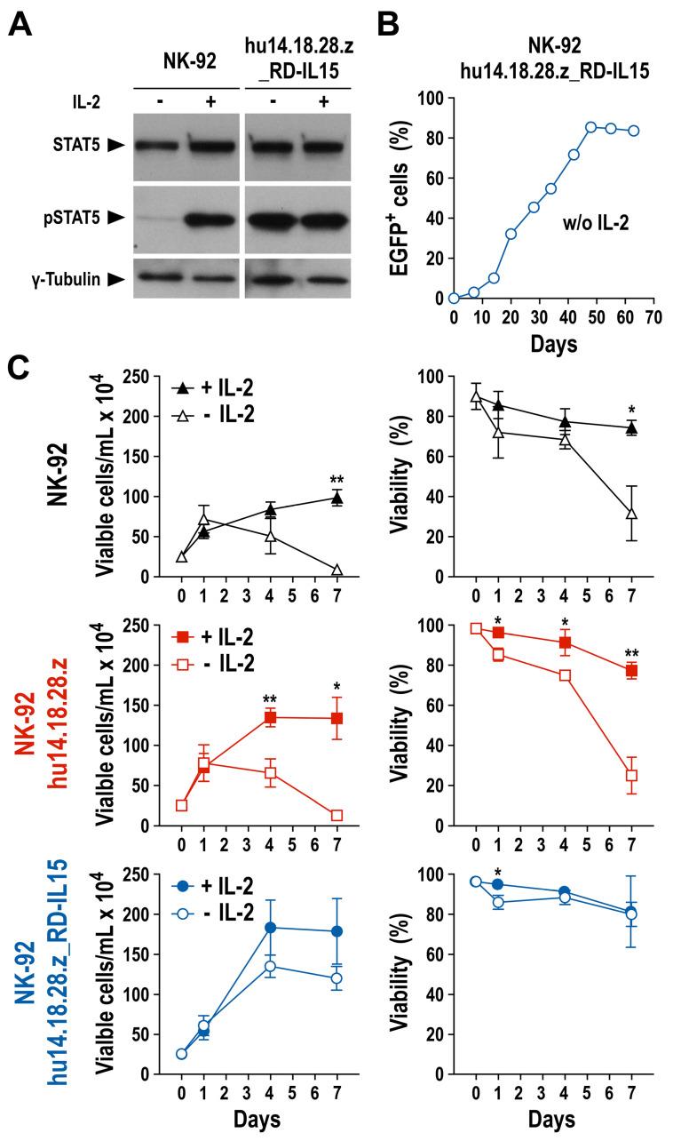 https://cdn.ncbi.nlm.nih.gov/pmc/blobs/3581/10486391/d341cfdc7534/cancers-15-04310-g004.jpg