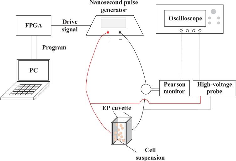 https://cdn.ncbi.nlm.nih.gov/pmc/blobs/3581/6763947/0606d190ae2e/10.1177_1533033819876918-fig2.jpg