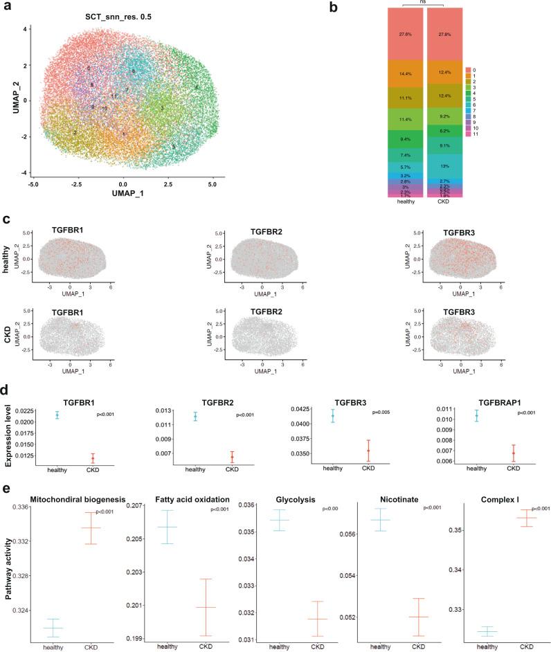 https://cdn.ncbi.nlm.nih.gov/pmc/blobs/3583/10239443/b3884d07cd94/41467_2023_39050_Fig6_HTML.jpg