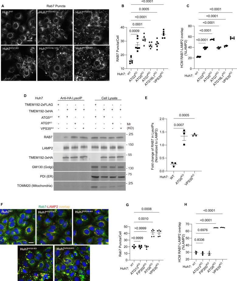 https://cdn.ncbi.nlm.nih.gov/pmc/blobs/3583/11706607/4b3e39328769/elife-100928-fig6.jpg