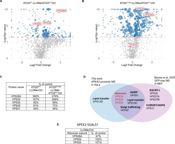https://cdn.ncbi.nlm.nih.gov/pmc/blobs/3583/11706607/9ca9835fb6fe/elife-100928-fig1-figsupp2.jpg