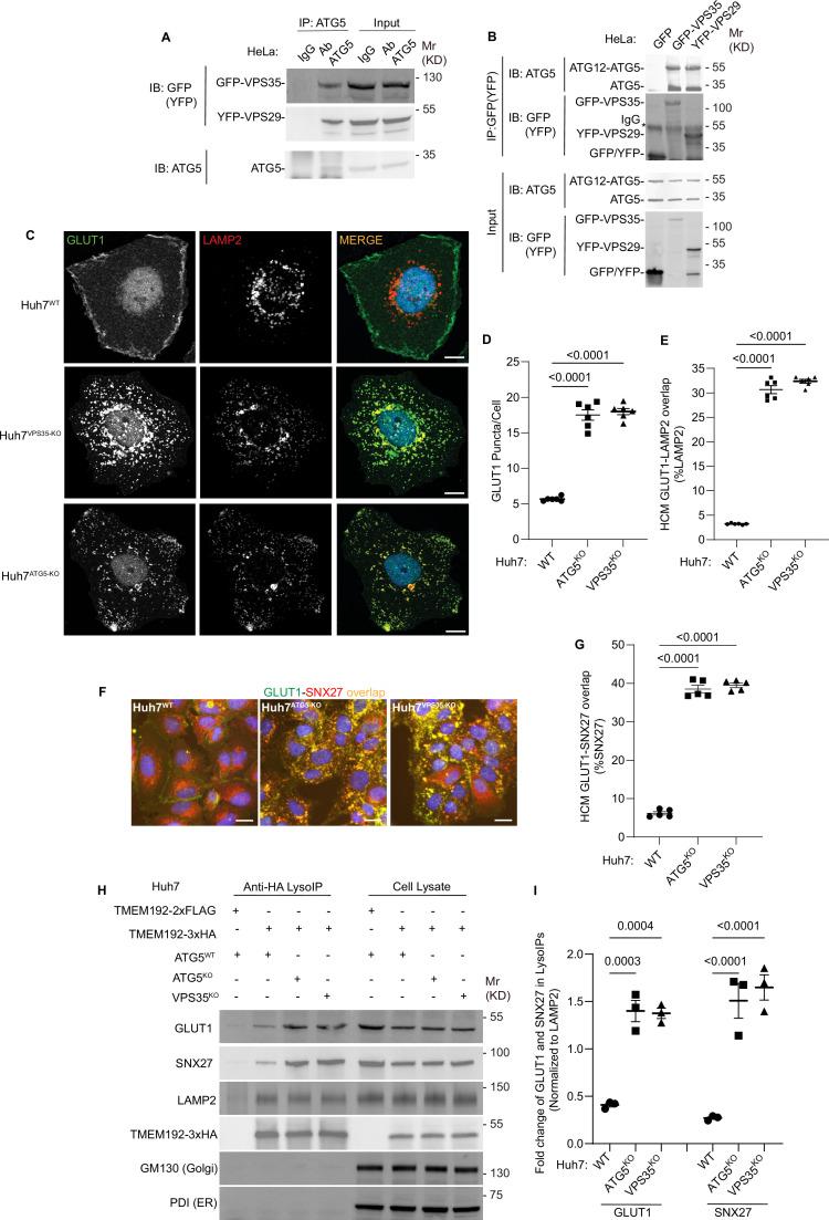https://cdn.ncbi.nlm.nih.gov/pmc/blobs/3583/11706607/f23039e8fdac/elife-100928-fig3.jpg