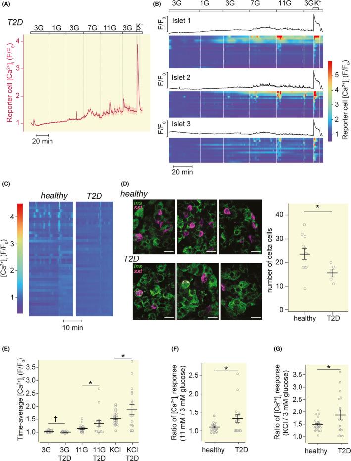 https://cdn.ncbi.nlm.nih.gov/pmc/blobs/3584/11726413/c699445331b1/APHA-241-e14268-g004.jpg