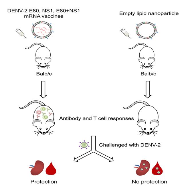 https://cdn.ncbi.nlm.nih.gov/pmc/blobs/3586/7452130/61caf9d64da9/fx1.jpg