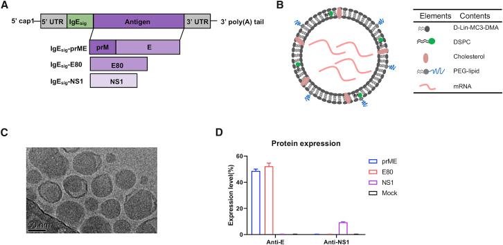 https://cdn.ncbi.nlm.nih.gov/pmc/blobs/3586/7452130/9b99cf4fa44a/gr1.jpg