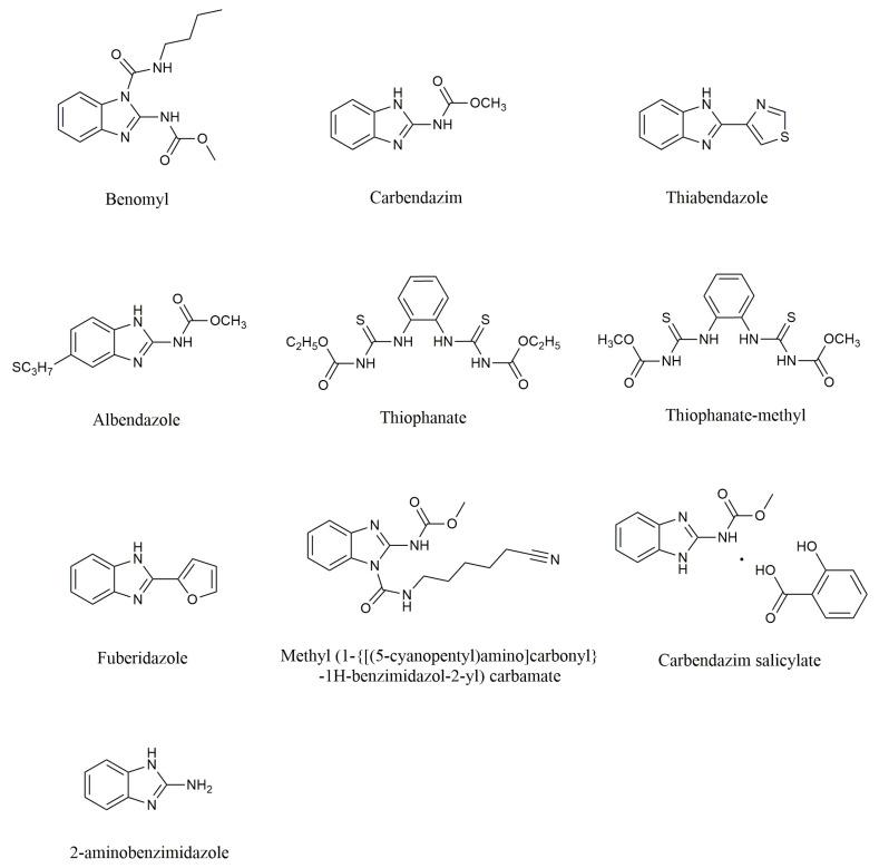 https://cdn.ncbi.nlm.nih.gov/pmc/blobs/3587/10975326/77e201750c6d/molecules-29-01218-g001.jpg