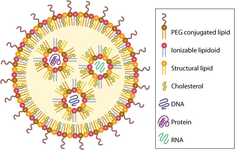https://cdn.ncbi.nlm.nih.gov/pmc/blobs/3587/8597982/0c46d888791d/cmr.00123-21-f006.jpg