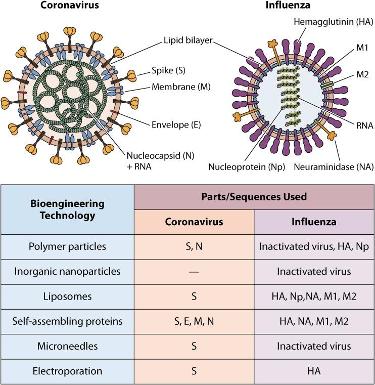 https://cdn.ncbi.nlm.nih.gov/pmc/blobs/3587/8597982/68f68b4f3c30/cmr.00123-21-f002.jpg