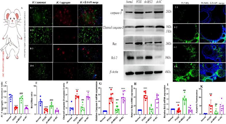 https://cdn.ncbi.nlm.nih.gov/pmc/blobs/358a/10258959/1dc407532488/40659_2023_441_Fig5_HTML.jpg