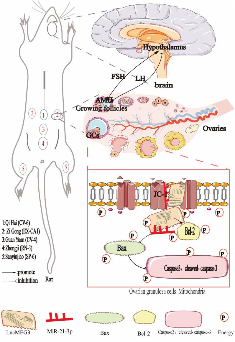 https://cdn.ncbi.nlm.nih.gov/pmc/blobs/358a/10258959/779096f14847/40659_2023_441_Fig9_HTML.jpg