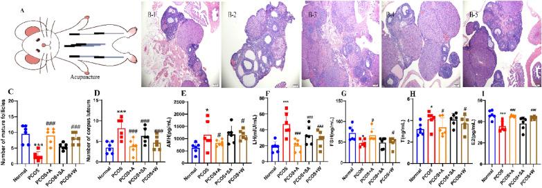 https://cdn.ncbi.nlm.nih.gov/pmc/blobs/358a/10258959/cc315c299e37/40659_2023_441_Fig6_HTML.jpg