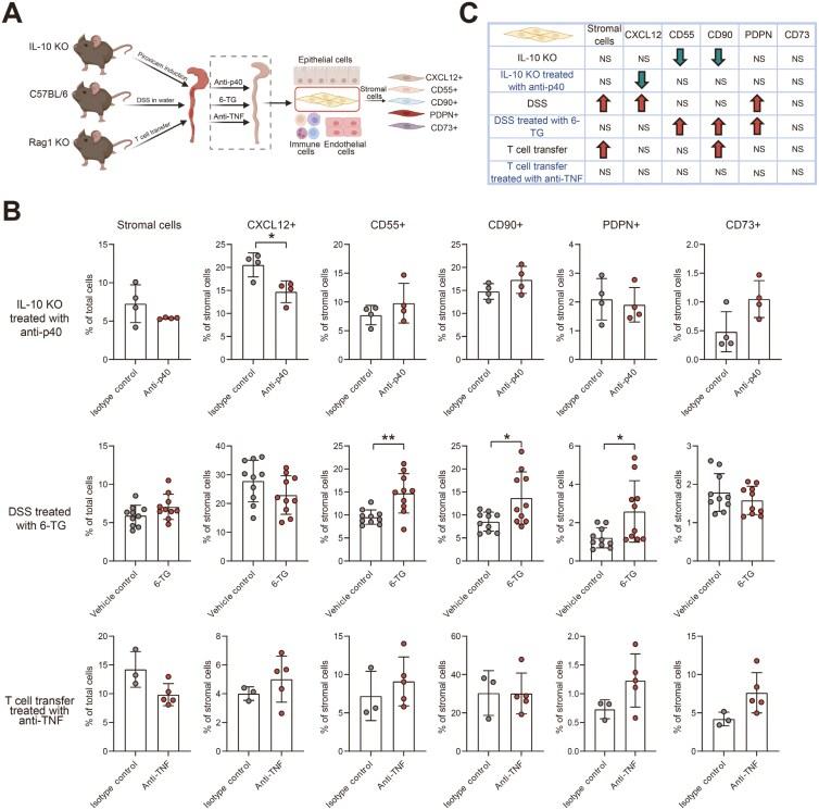 https://cdn.ncbi.nlm.nih.gov/pmc/blobs/358a/11985400/36f76f7937fe/izae255_fig4.jpg