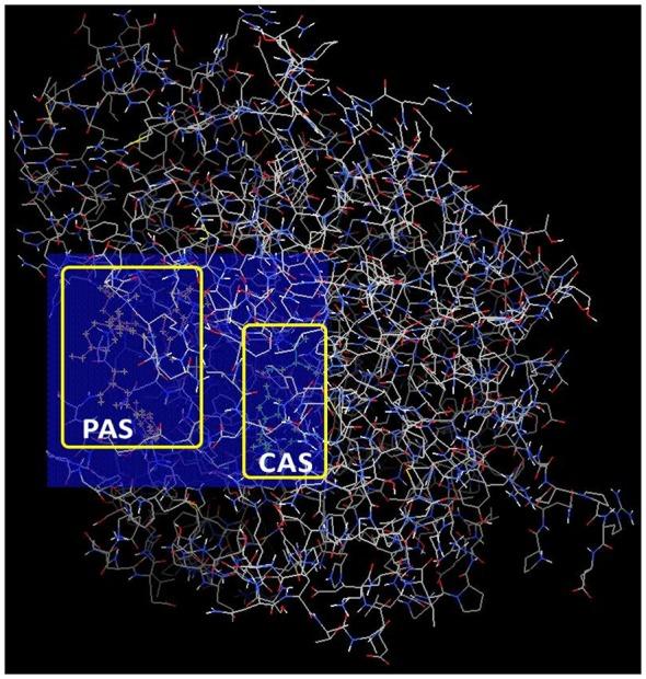 https://cdn.ncbi.nlm.nih.gov/pmc/blobs/358c/6718453/da695860958b/fnagi-11-00206-g0002.jpg