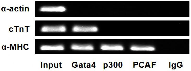https://cdn.ncbi.nlm.nih.gov/pmc/blobs/358d/4125174/686f36d2be0e/pone.0104135.g009.jpg