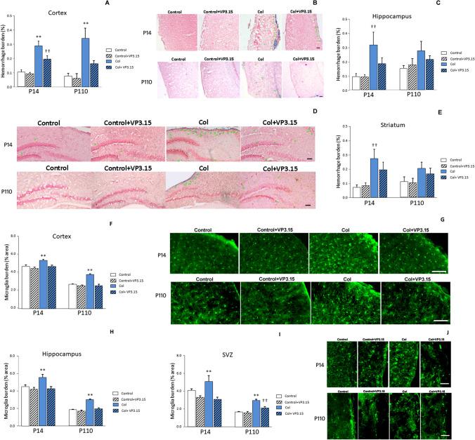 https://cdn.ncbi.nlm.nih.gov/pmc/blobs/358f/11976767/622dfa2b527b/12975_2023_1229_Fig2_HTML.jpg
