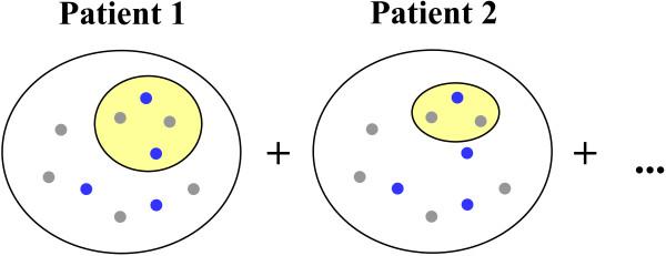 https://cdn.ncbi.nlm.nih.gov/pmc/blobs/358f/4126066/efc64f232e06/2041-1480-4-21-2.jpg