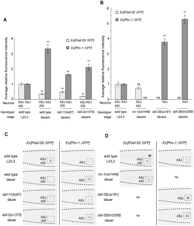 https://cdn.ncbi.nlm.nih.gov/pmc/blobs/3591/3029385/76b74c652dec/pone.0016561.g002.jpg