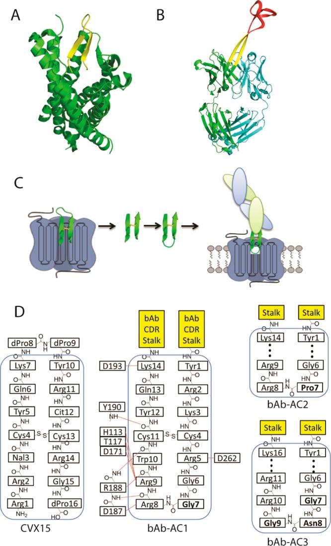 https://cdn.ncbi.nlm.nih.gov/pmc/blobs/3591/4120998/b0dd5f7b7f54/ja-2014-042447_0001.jpg