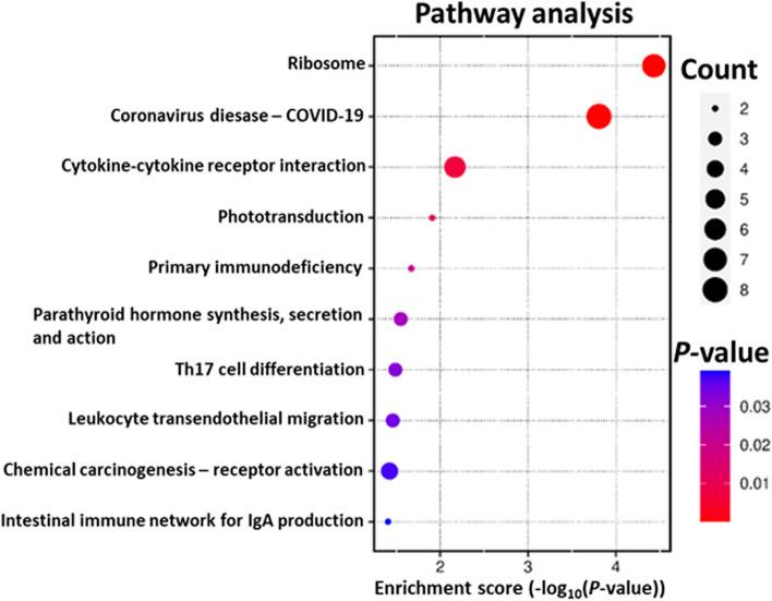 https://cdn.ncbi.nlm.nih.gov/pmc/blobs/3592/11232246/0e5d2ef67027/40104_2024_1054_Fig5_HTML.jpg