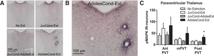 https://cdn.ncbi.nlm.nih.gov/pmc/blobs/3592/4749725/a4bc00fca427/BakerLM039487f04.jpg