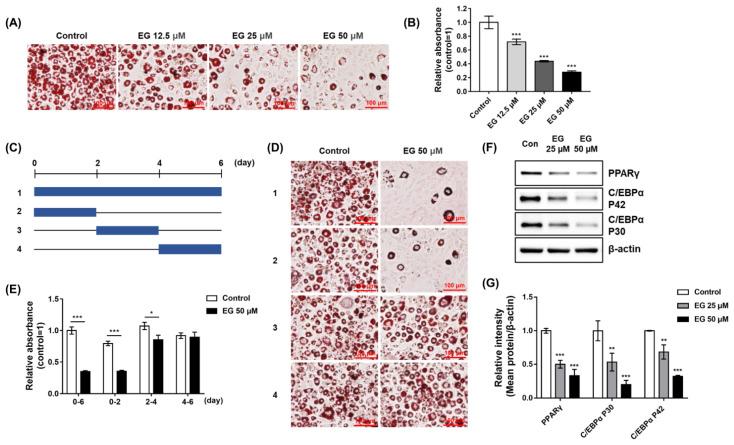 https://cdn.ncbi.nlm.nih.gov/pmc/blobs/3595/9105384/0766ce83c38b/ijms-23-05020-g007.jpg