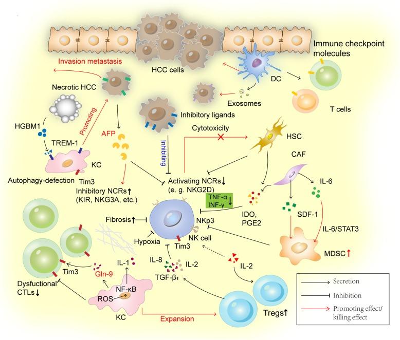 https://cdn.ncbi.nlm.nih.gov/pmc/blobs/3596/6734524/1486bfb0a748/13046_2019_1396_Fig2_HTML.jpg