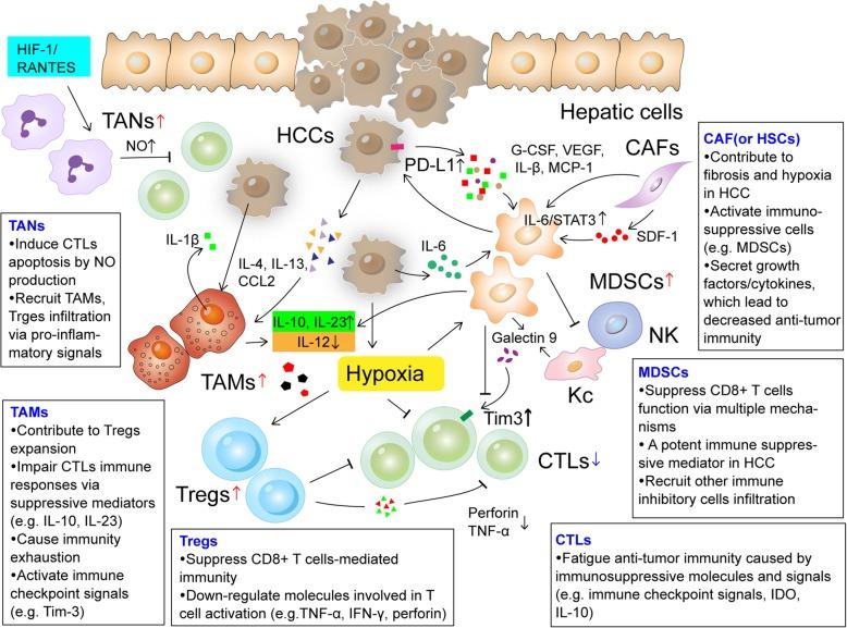 https://cdn.ncbi.nlm.nih.gov/pmc/blobs/3596/6734524/3bd55c4d553a/13046_2019_1396_Fig1_HTML.jpg