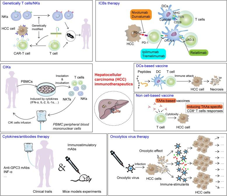 https://cdn.ncbi.nlm.nih.gov/pmc/blobs/3596/6734524/54183761a6f1/13046_2019_1396_Fig3_HTML.jpg