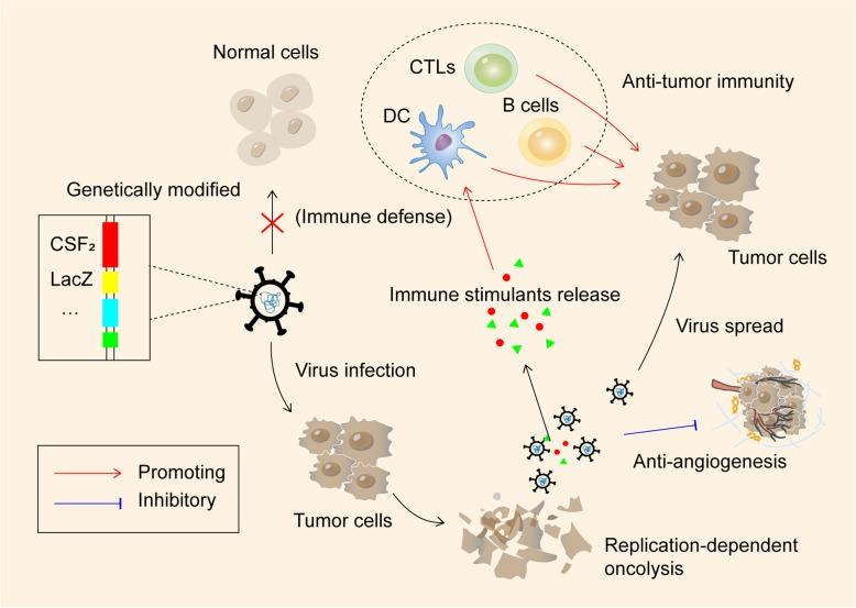 https://cdn.ncbi.nlm.nih.gov/pmc/blobs/3596/6734524/eb7712e92834/13046_2019_1396_Fig4_HTML.jpg