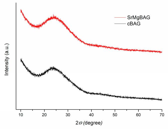 https://cdn.ncbi.nlm.nih.gov/pmc/blobs/3598/11312059/2a577c8ab1a1/ijms-25-08066-g001.jpg