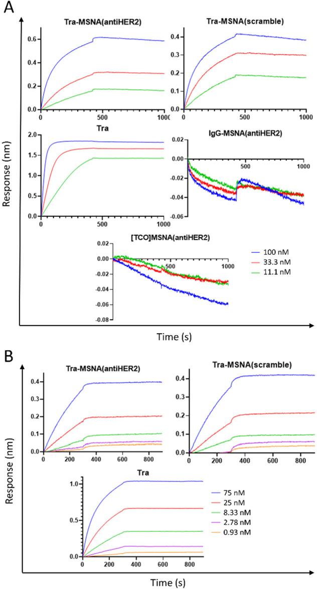 https://cdn.ncbi.nlm.nih.gov/pmc/blobs/359b/10445261/720e1f300d95/mt3c00318_0004.jpg